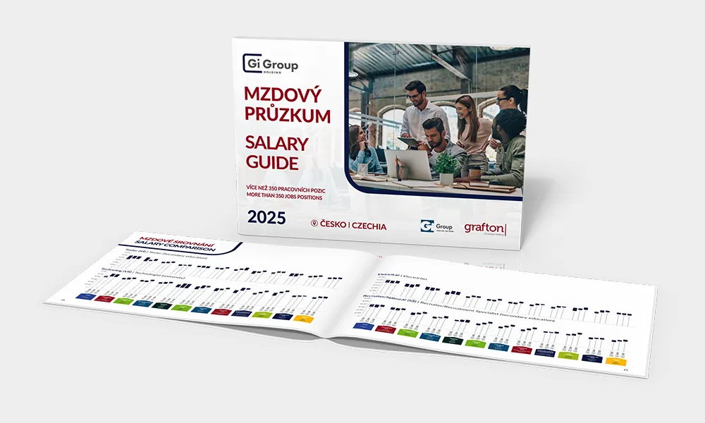 Mzdový průzkum 2025